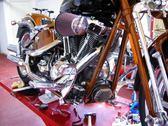 Enlarge photo 155