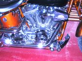 Enlarge photo 161