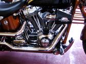 Enlarge photo 107