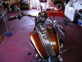 Enlarge photo 166