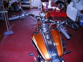 Enlarge photo 168