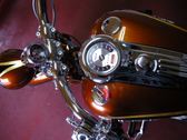 Enlarge photo 159
