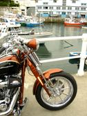 Enlarge photo 120