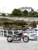 Enlarge photo 121