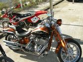 Enlarge photo 118