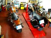 Enlarge photo 81