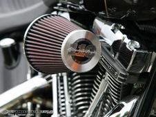 FXSTSSE2 SCREAMIN'EAGLE 