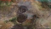 HUGE CRATERS CHINA