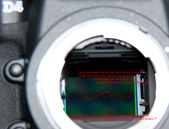 NIKON D4
