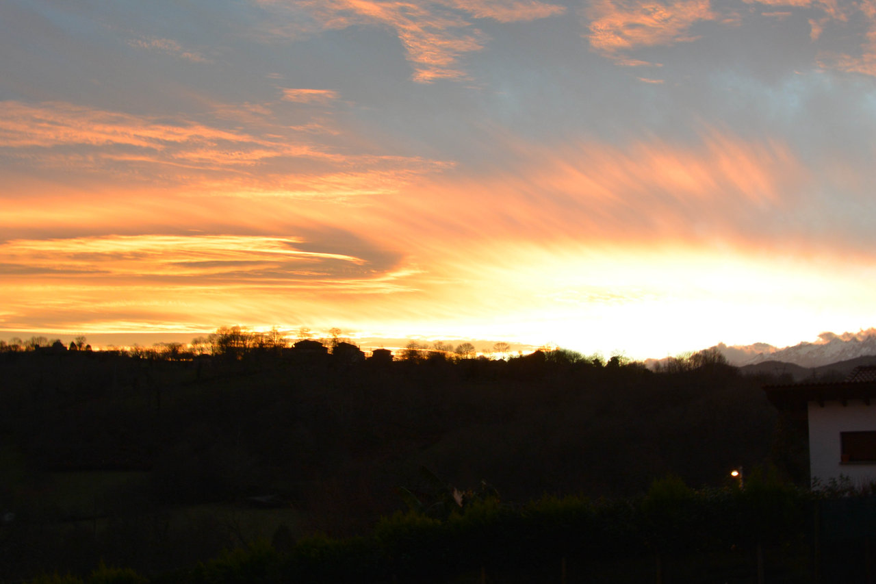 DSC_0803.jpg