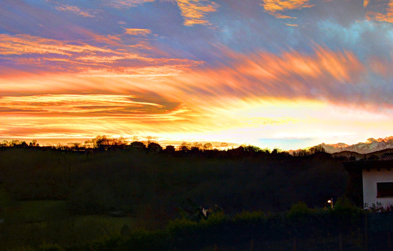 DSC_0803_7_fused.jpg