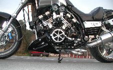 Enlarge photo 259