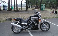 Enlarge photo 145