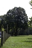 Enlarge photo 97