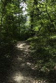 Enlarge photo 95