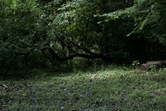 Enlarge photo 94