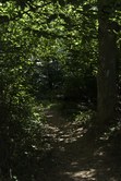 Enlarge photo 92