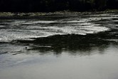 Enlarge photo 90