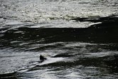 Enlarge photo 89