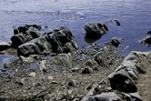 Enlarge photo 88