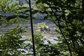 Enlarge photo 87
