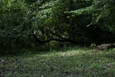 Enlarge photo 84