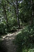 Enlarge photo 83