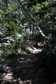 Enlarge photo 82