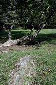 Enlarge photo 81