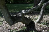 Enlarge photo 80