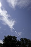 Enlarge photo 77