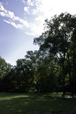 Enlarge photo 74