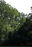 Enlarge photo 72