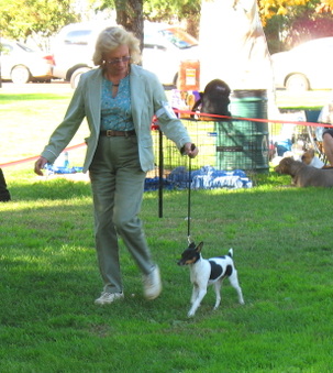 Wild Oak Puppies go to Dog Shows 