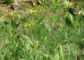 Enlarge photo 34
