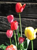 Enlarge photo 28