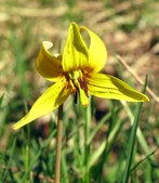 Enlarge photo 31