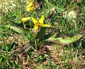 Enlarge photo 32