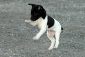 Enlarge photo 24