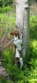 Enlarge photo 19
