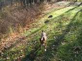 Enlarge photo 1