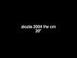 Enlarge WMV 1