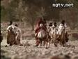 Enlarge WMV 12