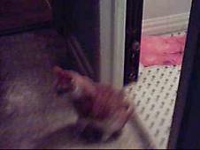 Enlarge WMV 48