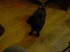 Enlarge WMV 121