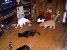 Enlarge photo 123