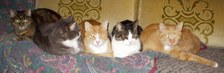 Enlarge photo 93