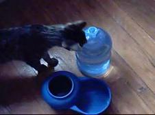 Enlarge WMV 64