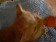 Enlarge WMV 96