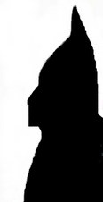 Enlarge photo 59